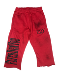 FlyerDen 3/4 jorts